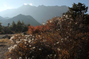 Annapurna-Nepal-Martin-Zinggl-5 Annapurna Circuit Nepal Photographer Martin Zinggl-6