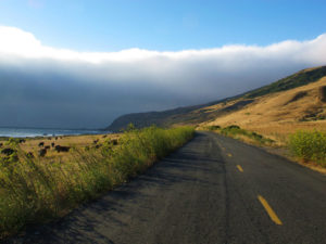 Petrolia California Ashley Halligan 17