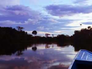 Amazon Sunset Peruvian Amazon sunset