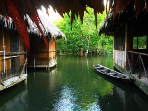 Amazonia Expeditions