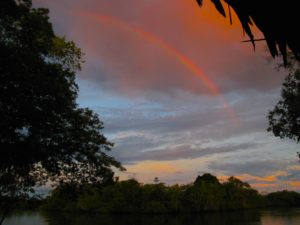 Amazon Rainbow