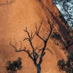 Uluru | Hayli Nicole 18
