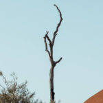 Uluru | Hayli Nicole 24