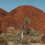 Uluru | Hayli Nicole 37