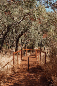 Uluru | Hayli Nicole 4 Observations of Uluru, Ayers Rock, Northern Territory, Australia by Hayli Nicole