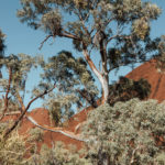 Uluru | Hayli Nicole 41