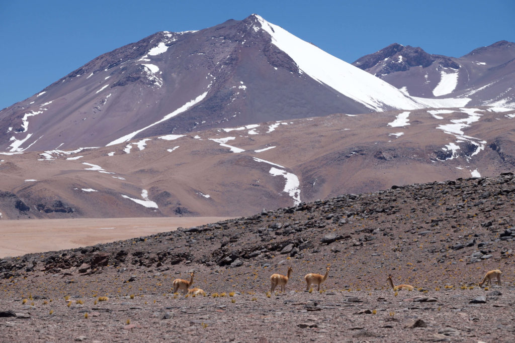 Noel_Atacama_14