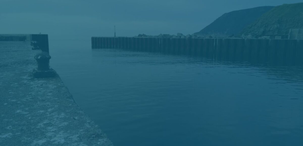 &nbsp;