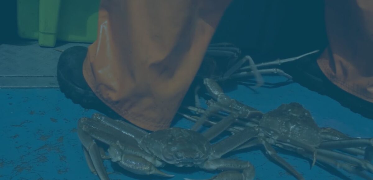 &nbsp;